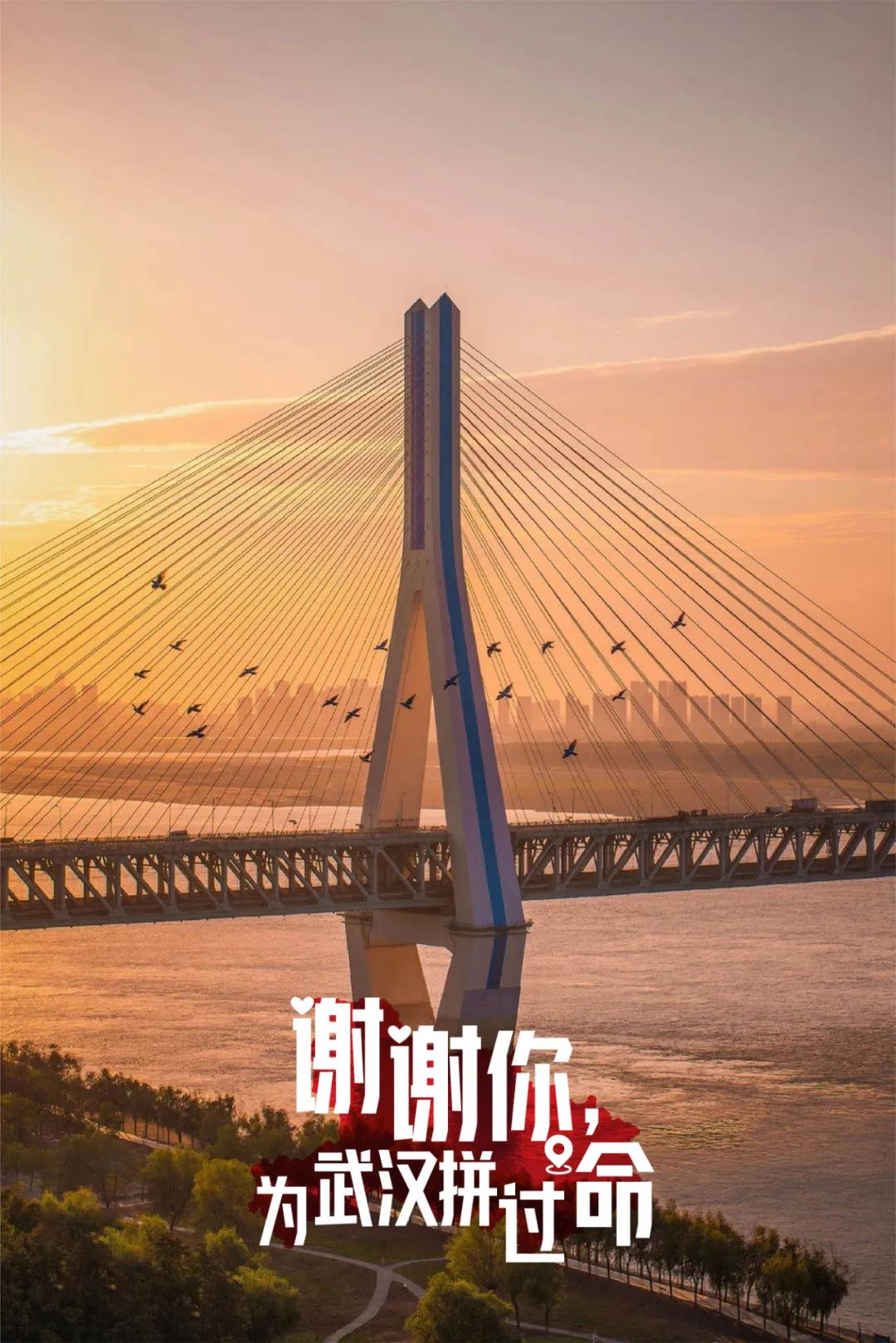 一頓暴哭！武漢用32張海報，對32個支援地區說謝謝
