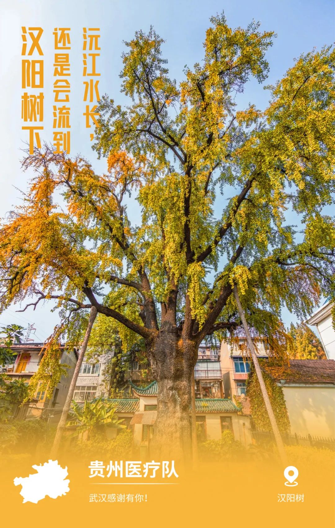 一頓暴哭！武漢用32張海報，對32個支援地區說謝謝