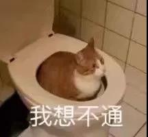 1603100615228418.jpg 微信圖片_20201019171602.jpg