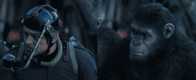 8047970.gif 640 (2).gif