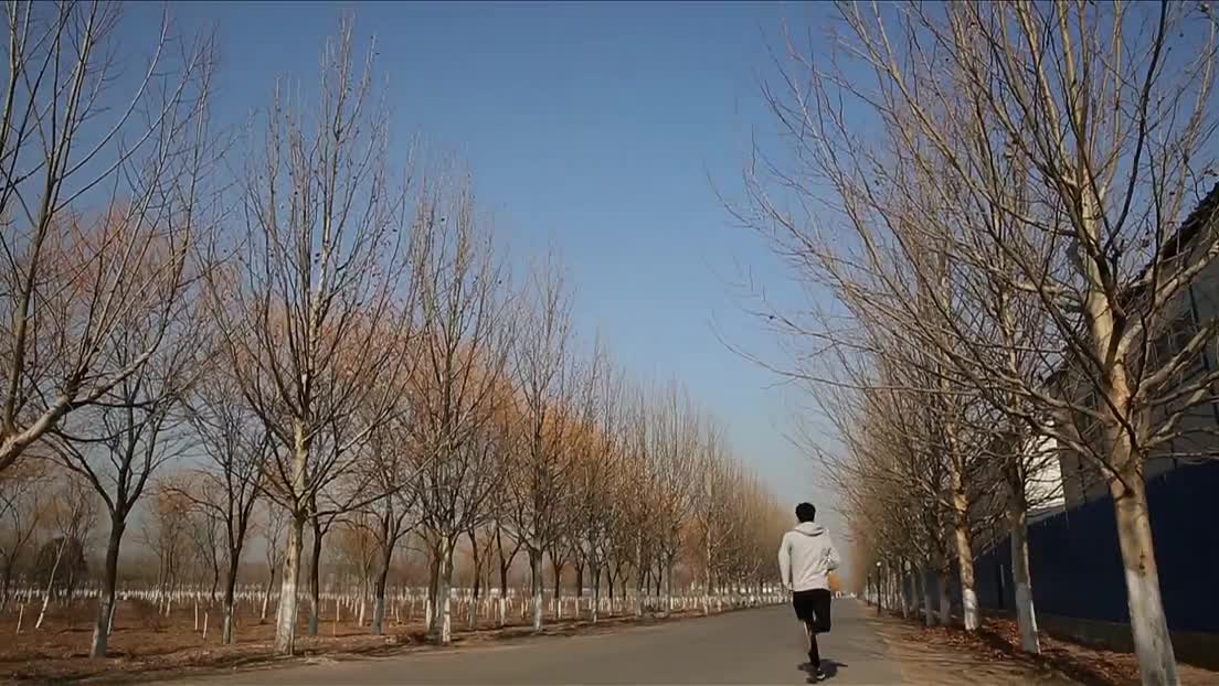 朝上影視綜藝——去挑戰(zhàn)吧:拳練成記
